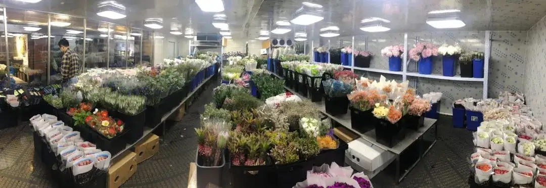 冷库鲜花 冷库鲜花