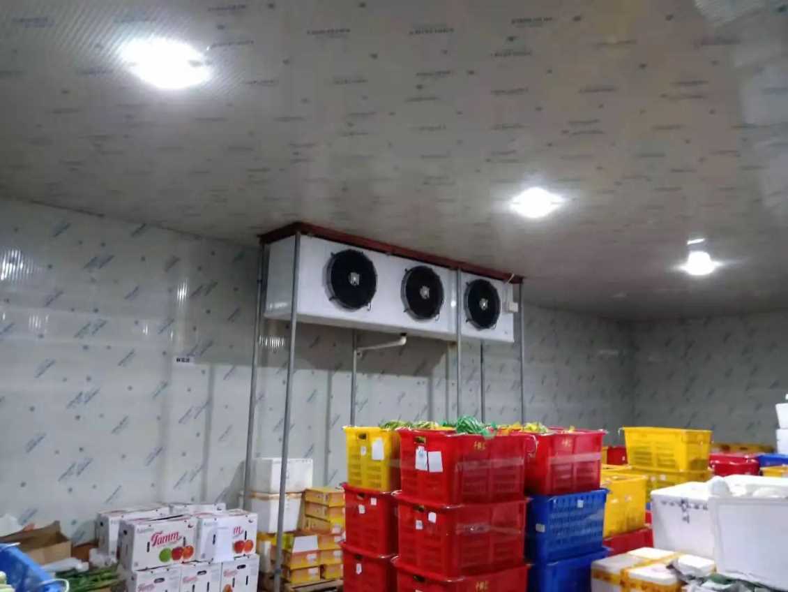 冷库蔬菜 冷库蔬菜